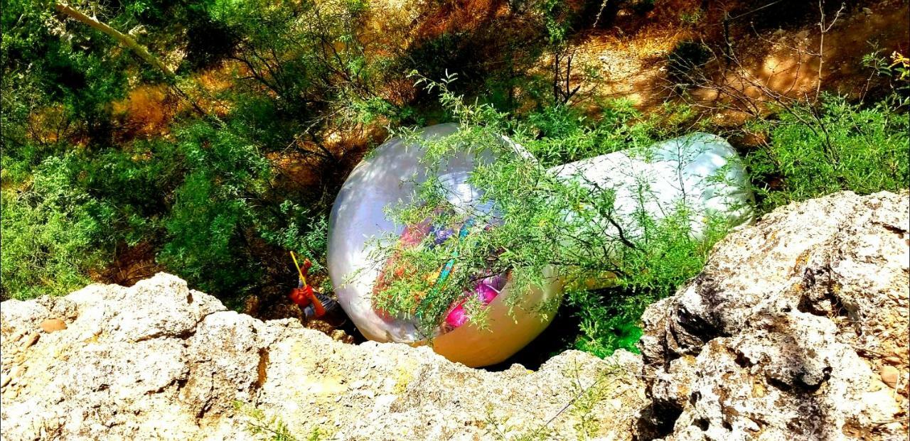 ホテルCave, Yurt, Bubble And Other Glamping Adventures セドナ エクステリア 写真