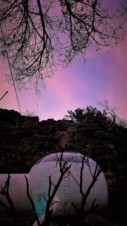 ホテルCave, Yurt, Bubble And Other Glamping Adventures セドナ エクステリア 写真
