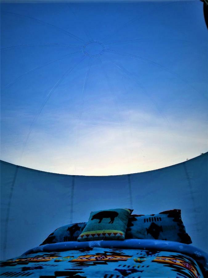 ホテルCave, Yurt, Bubble And Other Glamping Adventures セドナ エクステリア 写真
