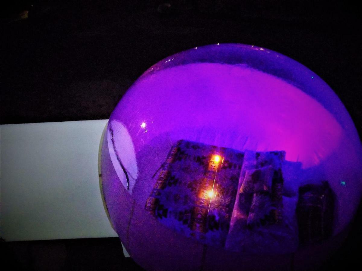 ホテルCave, Yurt, Bubble And Other Glamping Adventures セドナ エクステリア 写真