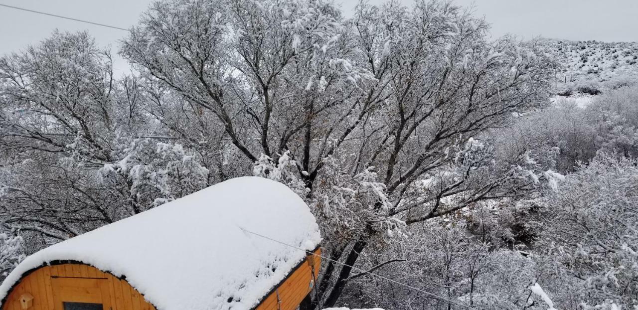 ホテルCave, Yurt, Bubble And Other Glamping Adventures セドナ エクステリア 写真